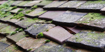 Waterloo roof repair costs
